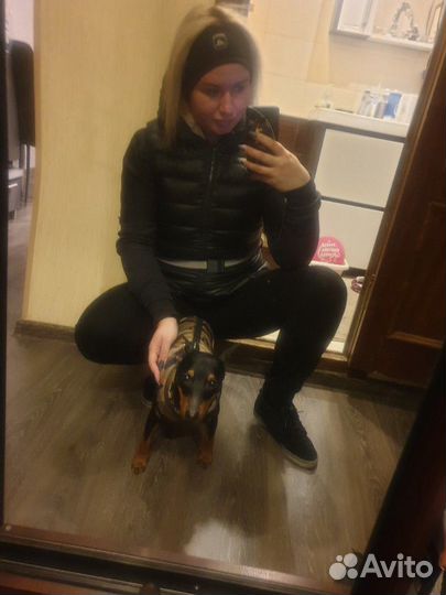 Передержка мелких собак