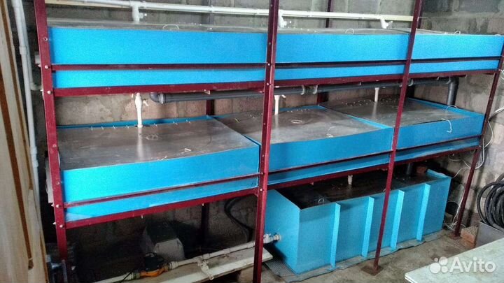 Узв для раков