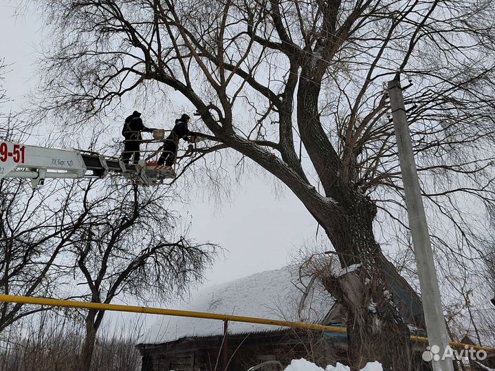 Вырубка спил деревьев, расчистка участка, дробилка