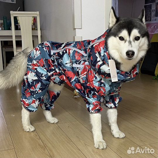 Дождевик для собаки