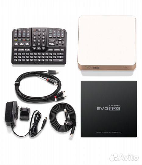 Система караоке Studio Evolution evobox Gold
