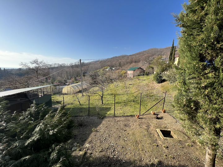 Участок 6 сот. (СНТ, ДНП)