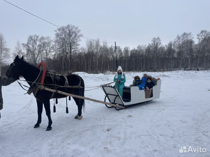 Конные прогулки