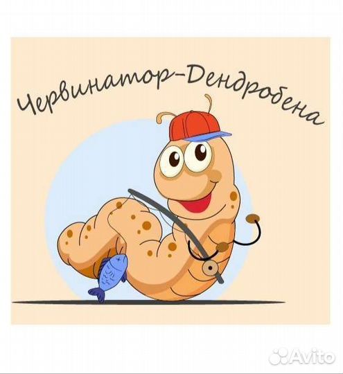 Черви для рыбалки