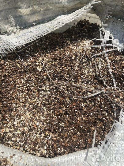 Отходы зерновые разные