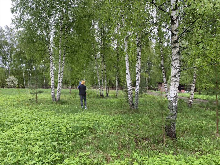 Участок 30 сот. (ИЖС)