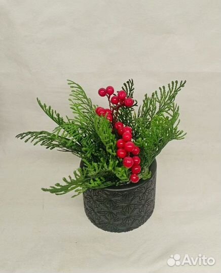 Искусственные растения в гипсовом кашпо