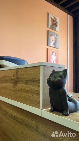 Услуги по передержке домашних животных petsyk