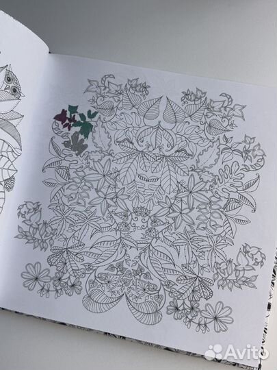 Раскраска таинственный сад