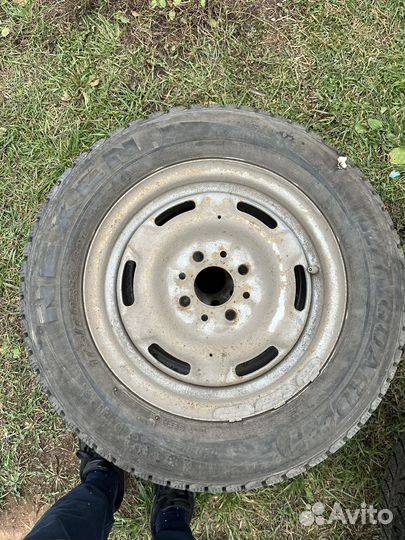 Nexen Winguard 231 175/70 R13