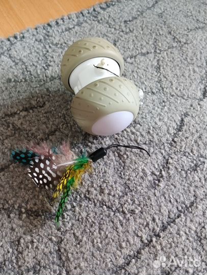 Интерактивная игрушка, одежда и чесалки для кошки