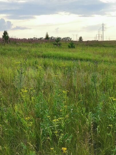 Участок 10 сот. (СНТ, ДНП)