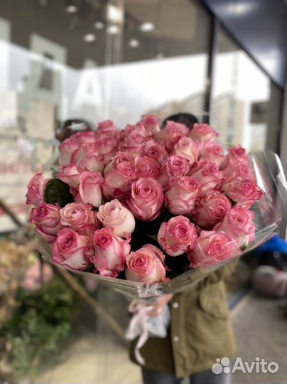 Эквадорский роза