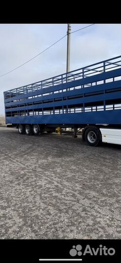 Полуприцеп для перевозки скота Pezzaioli SBA63, 2001