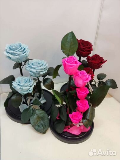 Роза в колбе