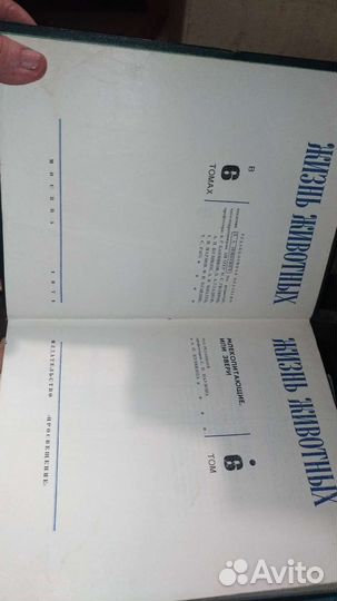 Жизнь животных, том 6