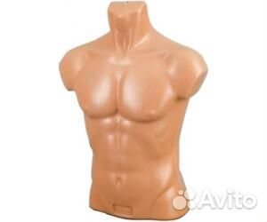 Пластиковые торсы
