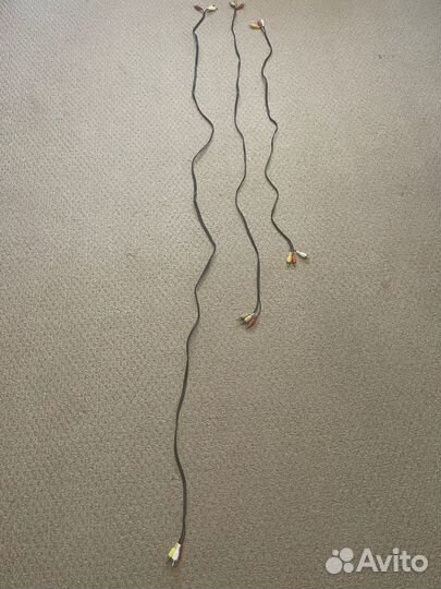 Тюльпаны провода