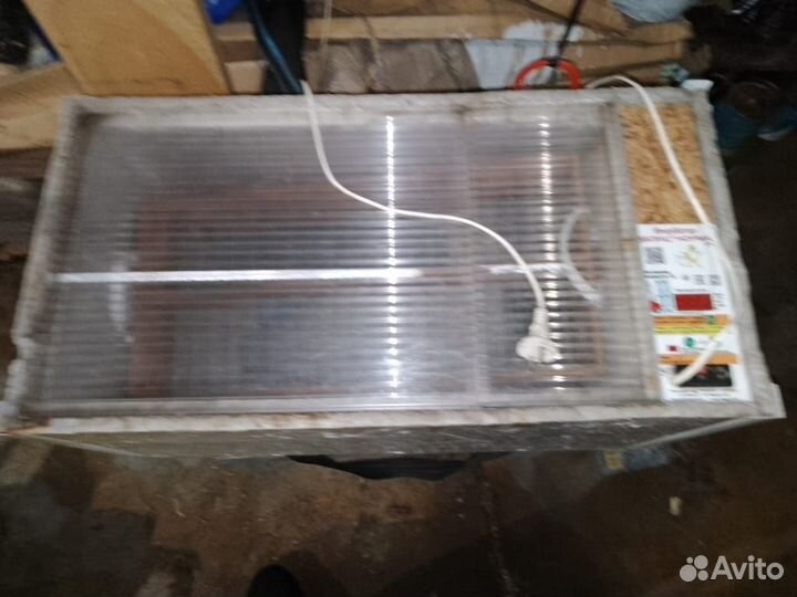 Инкубатор блиц