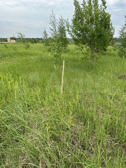 Участок 10,4 сот. (ИЖС)