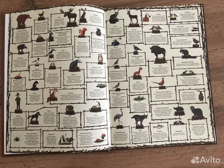 Детские книги виммельбух