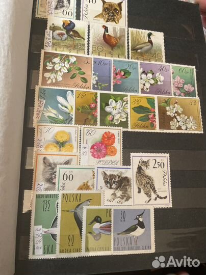 Каталог марок Флора и Фауна. Чистые, хх