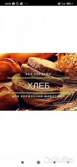 Хлеб для животных