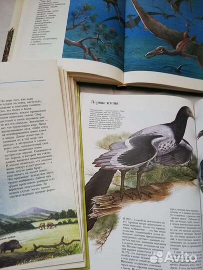 Набор книг о динозаврах