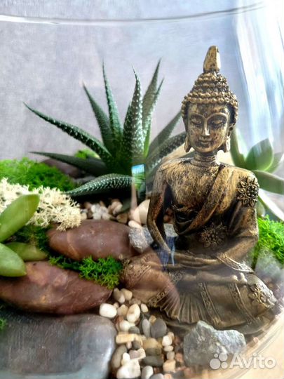 Флорариум с живыми суккулентами