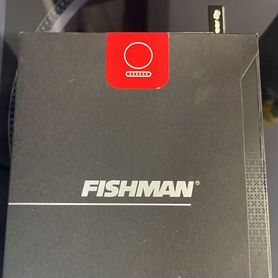 Fishman Matrix Infinity VT