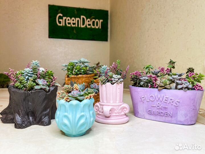 Минисадики с суккулентами. Грут