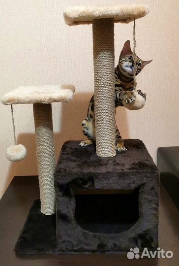 Изготовление домиков для кошек и когтеточек