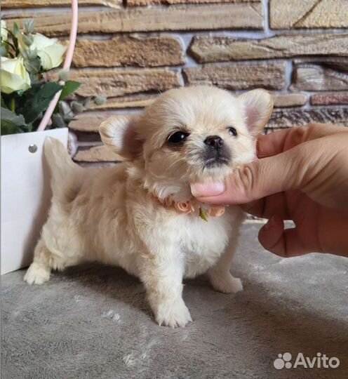 Мальчики красавчики