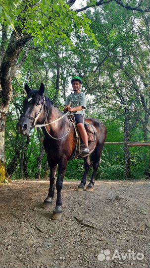 Конные походы Конные туры Конные прогулки