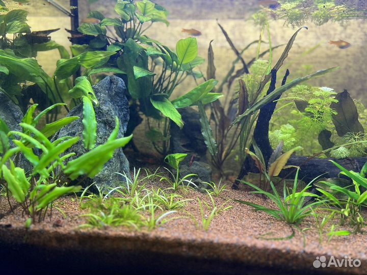Продам аквариум