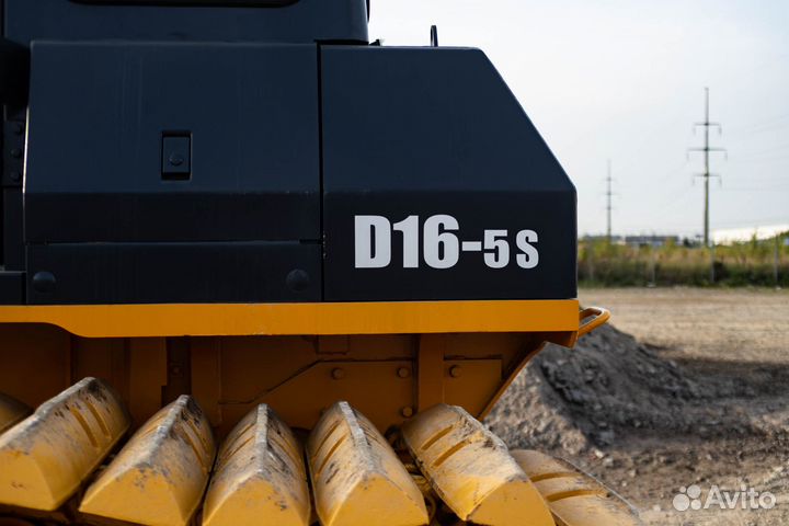 Beezone D16-5S, 2024