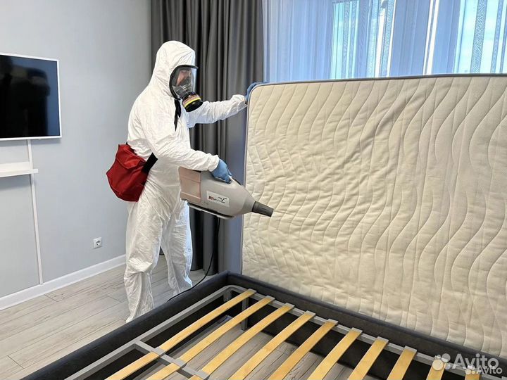 Уничтожение клопов, тараканов, блох / Дезинфекция