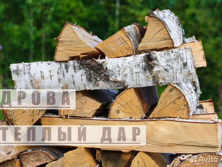 Дрова сухие