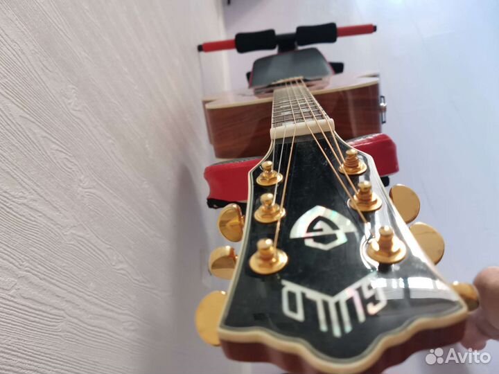 Электроакустика Супер-Джамбо Gulid F50 массив 43дю