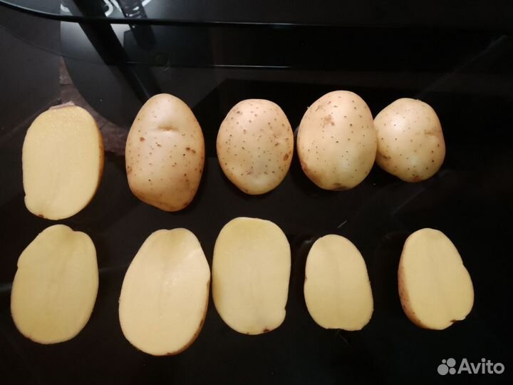 Картофель сорт Гала