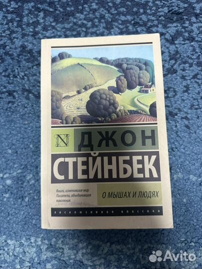 Книга Стейкбек 