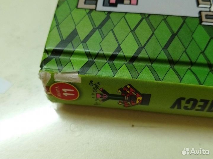 Книга Дневник Стива