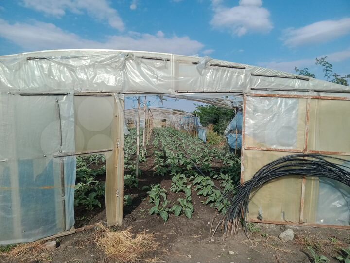 Участок 9 сот. (ИЖС)