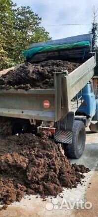 Перегной под осень