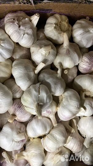 Овощи фрукты