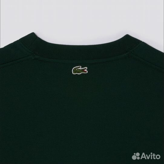 Свитшот lacoste новая коллекция