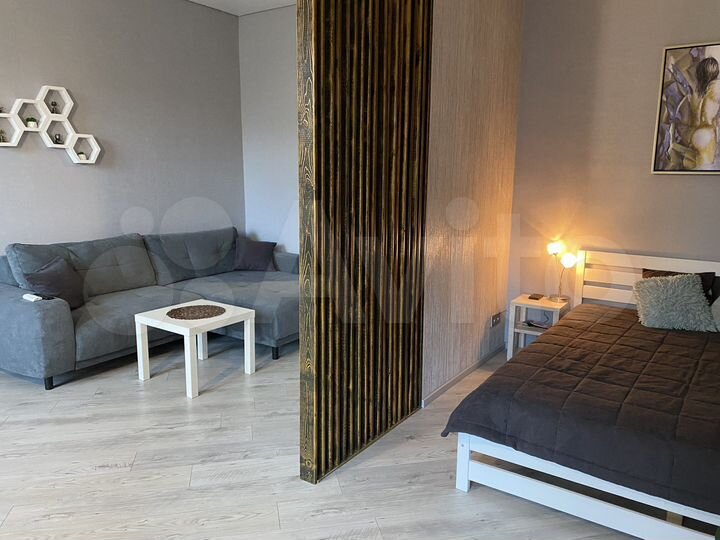 1-к. квартира, 55 м², 2/4 эт.