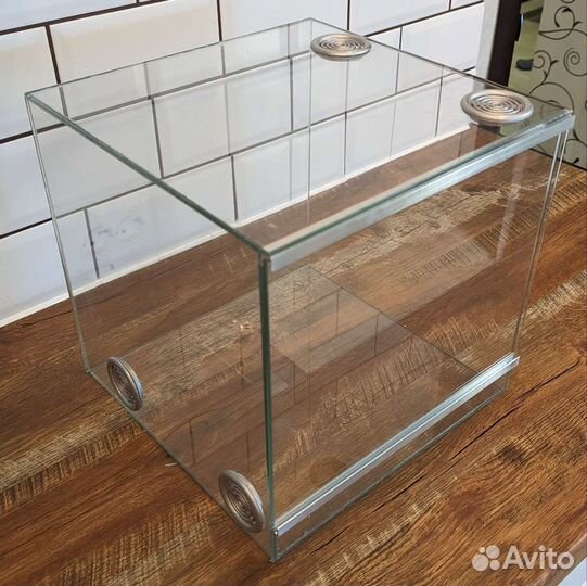 Террариум, паучатники и оформление