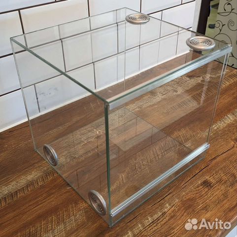 Террариум, паучатники и оформление