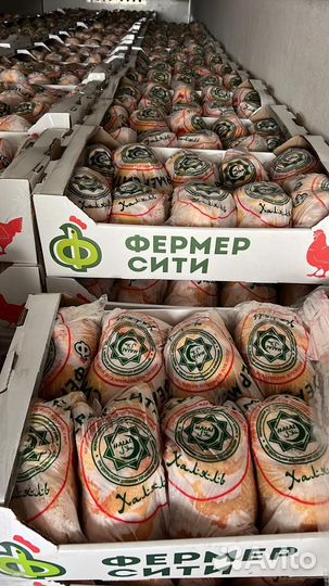 Фермерская курица Халяль